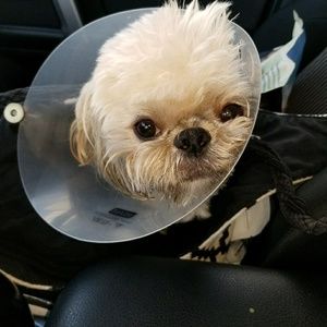 Meet your Posher, Wendy